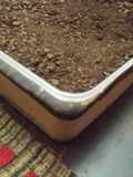 Coklat mousse cake