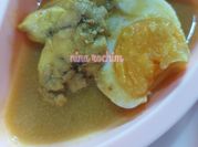 Gambar otak sapi telor