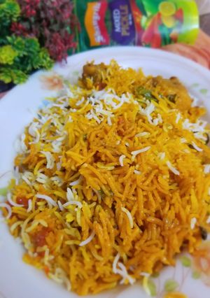 A picture of Chicken Degi qorma Biryani my version.