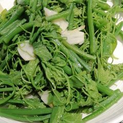 A picture of Chayote Tops.