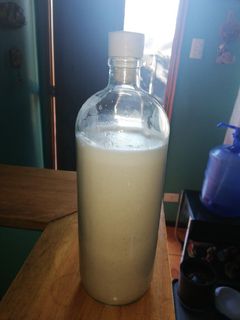 Una foto de Leche de avena 🧡