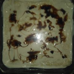 A picture of Quick pudding.