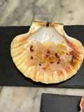 Carpaccio di capesante