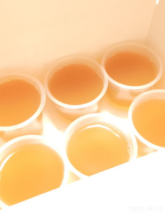 超級簡單綠茶茶凍 的食譜成品照片