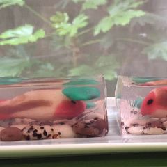 A picture of Kanten Wagashi "Carp".