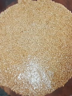 તલની ચીકી (Til Chikki Recipe In Gujarati) રેસીપી મુખ્ય ફોટો