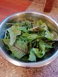 Ensalada de mi jardín