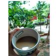 Teh tarik kayu manis