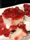 Panna cotta proteica