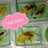 Puding Ikan Koi