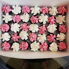A picture of One bite cupcakes.