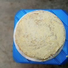 A picture of Eggless Vanilla Cake.