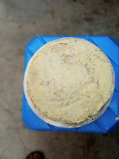 A picture of Eggless Vanilla Cake.