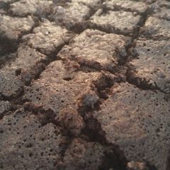A picture of Brownies⭐🍫.