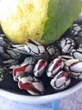 Percebes