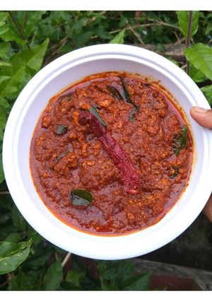 A picture of Paneer Pulimunchi.
