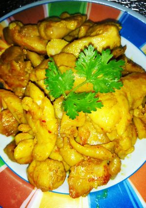 รูปของ ไก่ขมิ้นเหลืองอ่อน