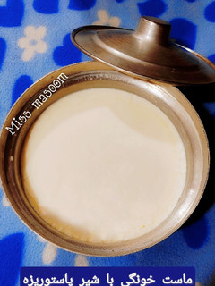 عکسی از دستور ماست خونگی با شیر پاستوریزه