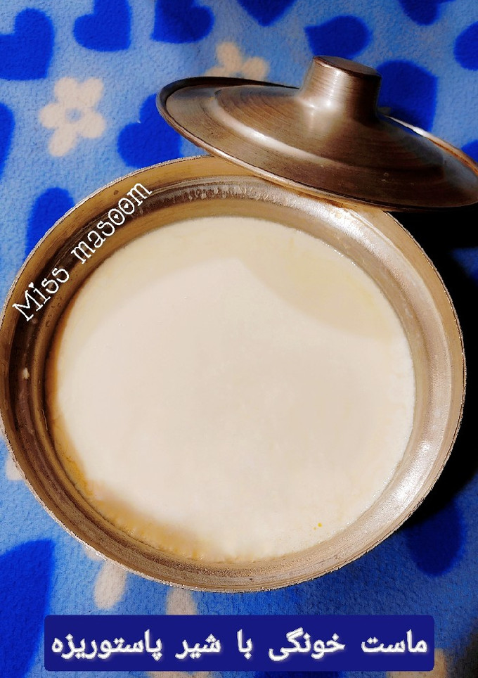 عکسی از دستور ماست خونگی با شیر پاستوریزه