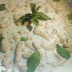 Green Dahi phulkian A picture of Green Dahi phulkian.