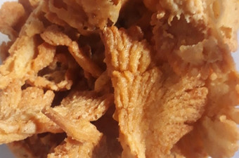Cara Gampang Membuat Jamur tiram krispy yang Bisa Manjain Lidah