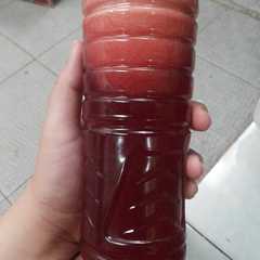 รูปของ Jus Terong Belanda