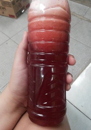Foto resep Jus Terong Belanda