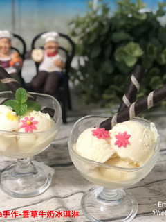 香草牛奶冰淇淋 的食譜成品照片