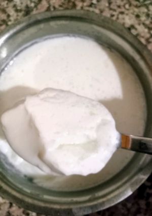 घर का जमा फ्रेश दही (Ghar ka jama fresh dahi recipe in Hindi) रेसिपी मुख्य फोटो
