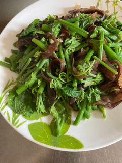 龍鬚菜炒木耳 的食譜成品照片