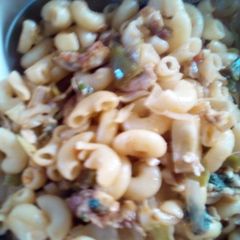 A picture of Macaroni.