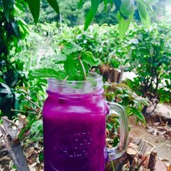 A picture of Jamun Mocktail.