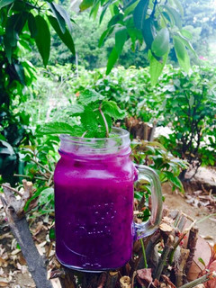 A picture of Jamun Mocktail.