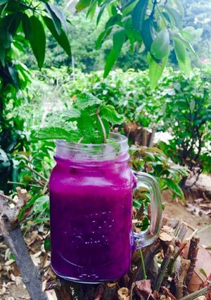 A picture of Jamun Mocktail.