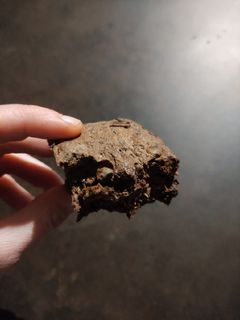Una foto de Bizcocho de algarroba y plátano en microondas