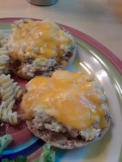 A picture of Easy Open Faced Tuna Melts.