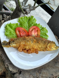 Foto resep Bandeng Presto Nikmat