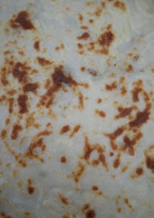 صورة لوصفة صينية توست باللحمه والحبنه