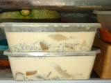 Es Puding Harum Gurih Segar