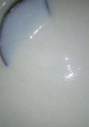 A picture of Kunun semo.