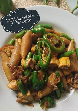 Foto resep (Salin dari) Tumis Cumi Asin Pedas #BandungRecook2_MamaSalman