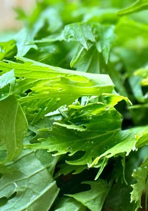 Hình của món Cải Xanh Đuôi Phụng Non Chấm Kho Quẹt.