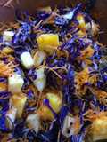 Ensalada del verano