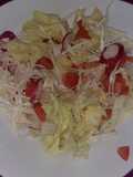 Ensalada de Repollo, rabanito, lechuga y tomate