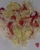 Ensalada de Repollo, rabanito, lechuga y tomate