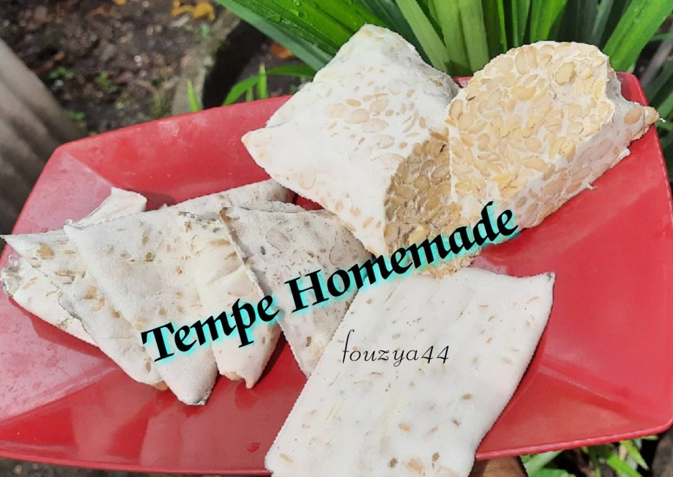 29. Tempe Homemade