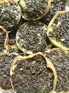 Foto resep Terang bulan mini