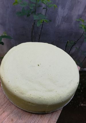 Foto resep Bolu kukus pandan(cocok untuk pemula)