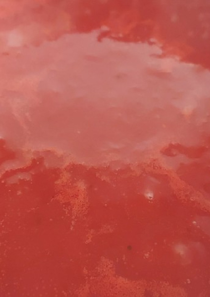 Una foto de Salsa tomate casera