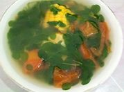 Gambar buah moringa